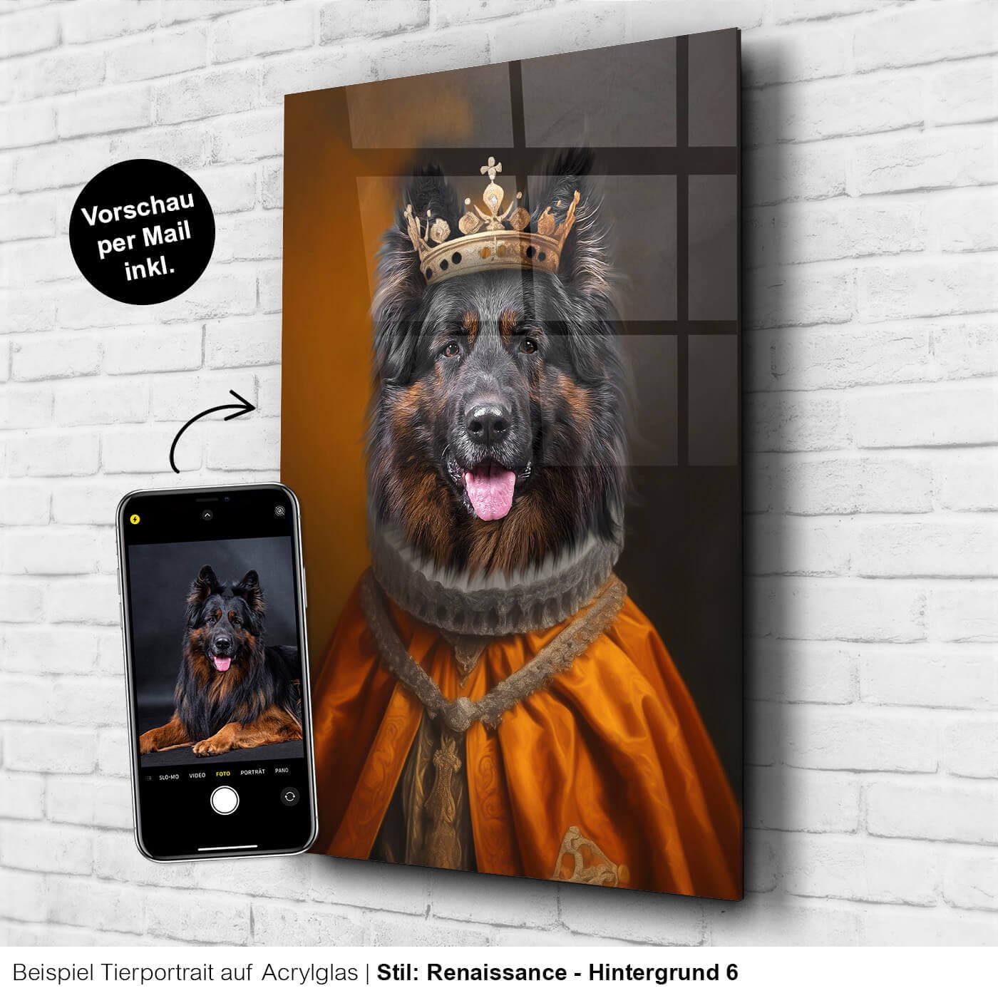 Tierportrait Hund Krone