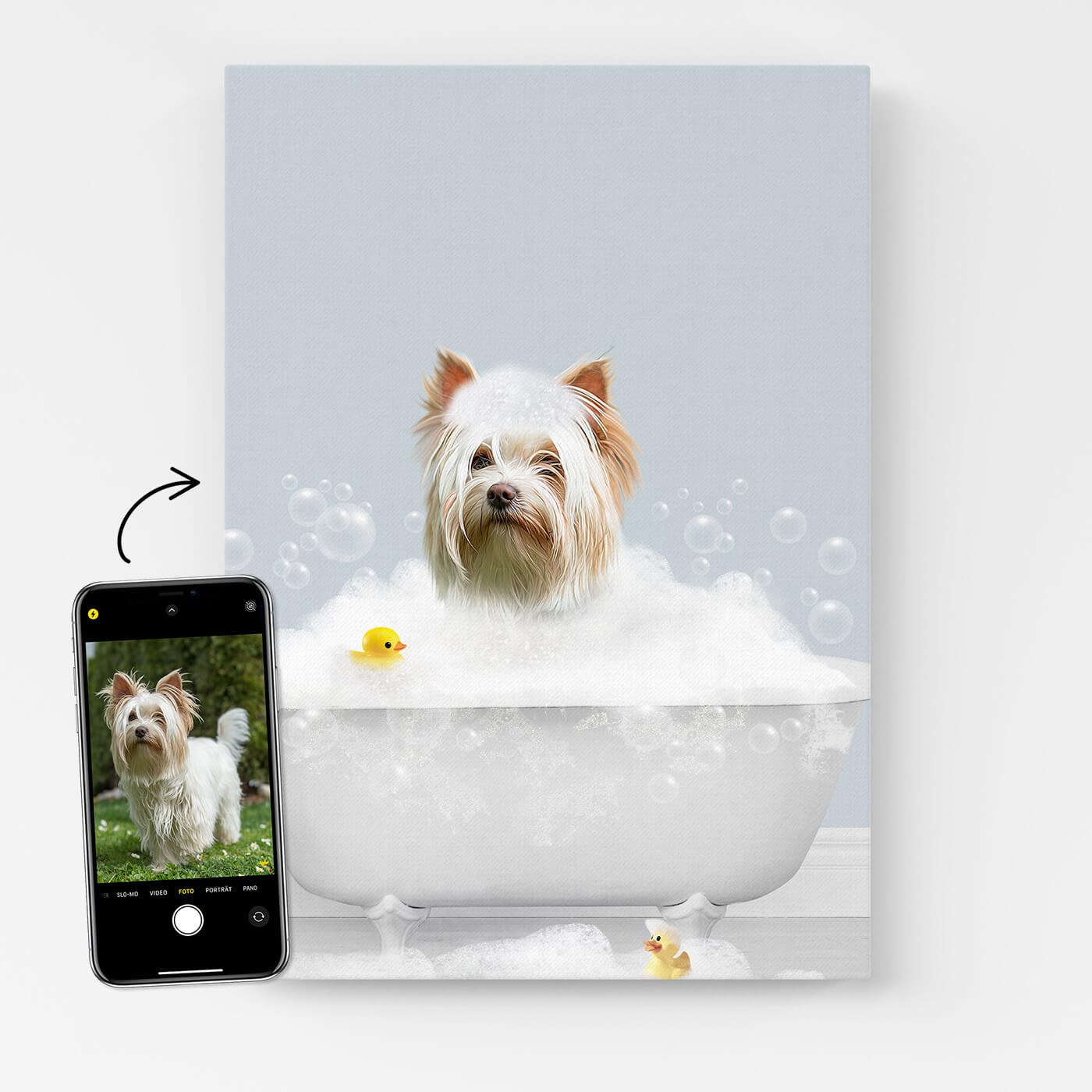 Hundeportrait Witziges Tierportrait
