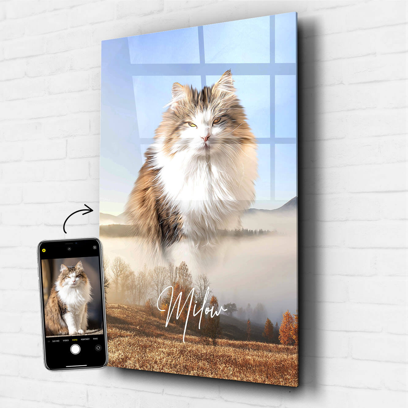 Katzenportrait Acrylglas Natur Bild